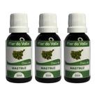 Óleo Vegetal De Mastruz 30ml Flor Do Valle - Essencial