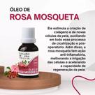 Óleo Vegetal Rosa Mosqueta-30ml