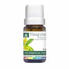 Óleos Essenciais WNF Ylang Ylang Cananga Óleos Essenciais WNF Ylang Ylang Cananga