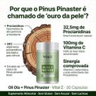 Oli Olá Pinus Pinaster 30 Cápsulas Vital Z