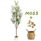 Oliveira artificial Luce Alberi 6 pés com plantador e cesta