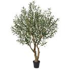 Oliveira artificial VeriNatural de 6 pés com vaso resistente a UV