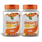 Ômega 3 Fish Oil 500mg 60 Cápsulas Óleo de Peixe Puro Suporte Cardiovascular 2 POTES