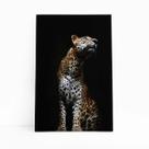 Onça Pintada Fotografia Minimalista Quadro Canvas 60x40cm