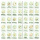 Oracle Cards Deck French Healing Guidance 36 Cards