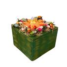 Oráculo dos Gnomos - Caixinha da Natureza Mágica com Cartas Oráculo dos Gnomos - Caixinha da Natureza Mágica com Cartas