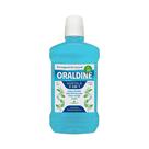 Oraldine Hortelã (500ml - Sem Álcool)