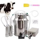 Ordenha Elétrica Pulsativa 14l Inox Para Vacas Ordenhadeira 2 bicos
