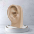 Orelha de Silicone Base Vertical Nude