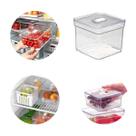 Organizador de Geladeira 2,8 Litros Pote Tampa Alimentos Frutas Verduras Vegetais Hermético Tela
