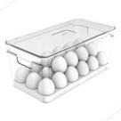 Organizador de Geladeira Clear Fresh Natural Com Cesto Escorredor Travas e Válvula Ou