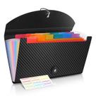 Organizador de recibos Cesil Expanding File Folder 13 Pockets