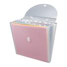 Organizador Expandible para Carpetas Advantus 30x30 cm 12 Bolsillos