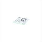 Ornamento Prato Em Vidro Quadrado Papaya Poa Preto Branco 13cm Ornamento Prato Em Vidro Quadrado Papaya Poa Preto Branco 13cm