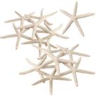 Ornamento Starfish PPCLION 12 peças de 7 a 10 cm, decoração artesanal