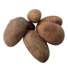 Orobos Africano - Orogbo Natural