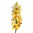 Orquídea Flor Artificial Permante Tok da Casa 78x13cm