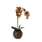 Orquídea Laranja x2 Vaso Aquário Orquídea Laranja x2 Vaso Aquário