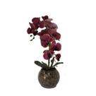 Orquídea Vermelha x2 Vaso Aquário Orquídea Vermelha x2 Vaso Aquário