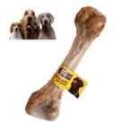 Osso Femur Defumado Bovino Canelão Pestisco Para Cães