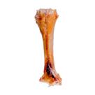 Osso Garra Natural Churraspet para Cães