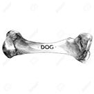 osso para cachorro