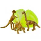 Ovo de Dinossauro com 03 Esqueletos de Dinossauros Dentro