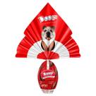 Ovo de Páscoa Doogs Para cachorro Sabor Carne 200g