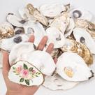 Oyster Shells QICQDRAM 20 unidades de 3-4 polegadas para artesanato e decoração