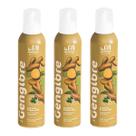 Pack 3 Espumas spray para drinks Begin Gengibre 200g