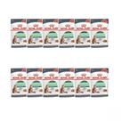 Pack Ração Úmida Royal Canin Sachê Pedaços ao Molho Cuidado Digestivo para Gatos Adultos 85g com 12 sachês 85g