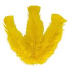 Pacote 10 Penas Naturais p/ Artesanato e Decoração