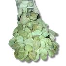 Pacote 200 Folhas de Eucalipto Soltas Seca Natural Selo Convite Verde