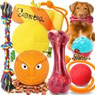 Pacote com 12 brinquedos para mastigar cães Zeaxuie Heavy Duty para mastigadores agressivos
