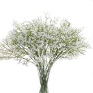 Pacote com 12 flores artificiais para bebês, Gumolutin, branco Pacote com 12 flores artificiais para bebês, Gumolutin, branco