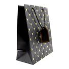 Pacote com 12 sacolas de presente pequena 23x18 papel cores Pacote com 12 sacolas de presente pequena 23x18 papel cores