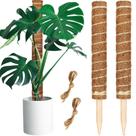Pacote com 2 bastões Coir Totem Moss, JJGoo, estendendo-se até 74 cm
