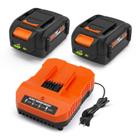 Pacote com 2 baterias Energup 6500mAh 20V com carregador WA3875