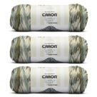 Pacote com 3 fios Caron Simply Soft Freckle Moss, 141 g de acrílico Pacote com 3 fios Caron Simply Soft Freckle Moss, 141 g de acrílico