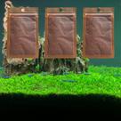 Pacote com 3 Plantas Aquáticas Anãs de Folha Pequena para Aquário de Água Doce