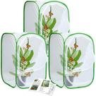 Pacote com 3 terrários Butterfly Habitat Cage RESTCLOUD