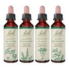 Pacote com 4 remédios florais Bach Original, 20 ml x4 Holly, Centaury, Agrimony, Walnut