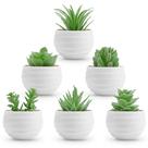 Pacote com 6 pequenas suculentas realistas Fake Plants Der Rose