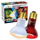 Pacote combinado de lâmpadas de calor REPTIZOO 75W para répteis, 2 unidades