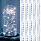 Pacote de 100 Fairy Lights ZGWJ, operado por bateria, 2 m 20 LED branco