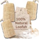 Pacote de 3 esfoliantes naturais Loofah Sponge Crafts of Egypt Pacote de 3 esfoliantes naturais Loofah Sponge Crafts of Egypt