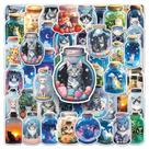 Pacote de adesivos: 50 unidades, garrafa, tema de gato, desenho animado Cat in Jar Vin
