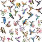 Pacote de adesivos Aquarela Bird, 50 unidades com detalhes florais