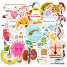 Pacote de adesivos Biological Experiment Children's Picture 50 unidades