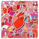 Pacote de adesivos Cartoon Human Organ Educational, 50 unidades Pacote de adesivos Cartoon Human Organ Educational, 50 unidades